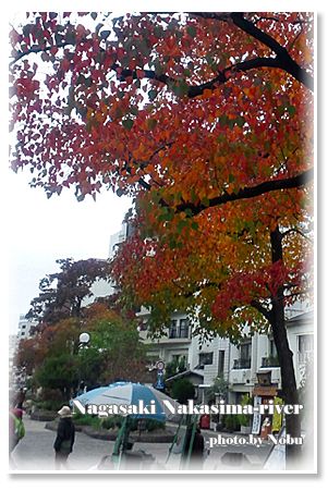 長崎中島川紅葉