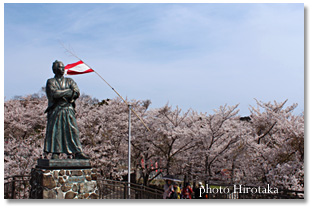 桜龍馬・長崎風頭公園